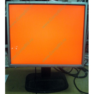 Монитор 19" TFT HP 1955 (DVI в Миассе, USB-хаб) "квадратный" (Миасс)