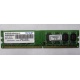 Модуль оперативной памяти 4Gb DDR2 Patriot PSD24G8002 pc-6400 (800MHz)  (Миасс)