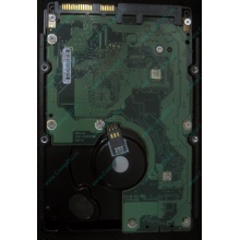 HP 454228-001 146Gb 15k SAS HDD (Миасс)