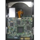 Электроника жёсткого диска 146Gb HP 481653-002 DF146BAFDU (Миасс)