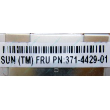 Серверная память SUN (FRU PN 371-4429-01) 4096Mb (4Gb) DDR3 ECC в Миассе, память для сервера SUN FRU P/N 371-4429-01 (Миасс)
