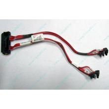 SATA-кабель для корзины HDD HP 451782-001 459190-001 для HP ML310 G5 (Миасс)