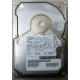 Жесткий диск 18.2Gb IBM Ultrastar DDYS-T18350 Ultra3 SCSI (Миасс)