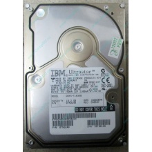 Жесткий диск 18.2Gb IBM Ultrastar DDYS-T18350 Ultra3 SCSI (Миасс)