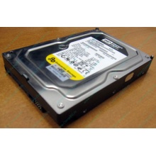 Жесткий диск 160Gb WD WD1602ABKS SATA (Миасс)
