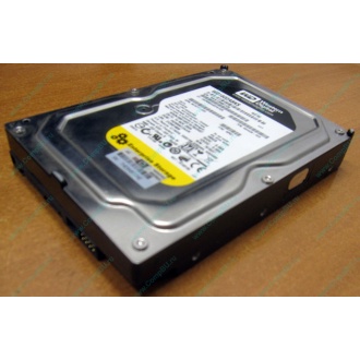 Жесткий диск 160Gb WD WD1602ABKS SATA (Миасс)