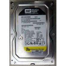 Жесткий диск 160Gb WD WD1602ABKS SATA (Миасс)