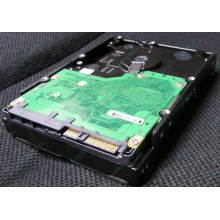 Жесткий диск 600Gb 15k Dell 9FN066-008 6G SAS ( Seagate Cheetach ST3600057SS 15K.7) - Миасс