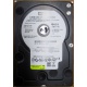Б/У жёсткий диск 400Gb WD WD4000YR Caviar RE2 7200 rpm SATA  (Миасс)