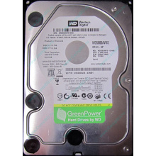 Б/У жёсткий диск 500Gb Western Digital WD5000AVVS (WD AV-GP 500 GB) 5400 rpm SATA (Миасс)