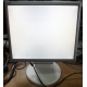 Монитор 17" TFT Nec MultiSync LCD175VXM+ бело-серебристый (Миасс)