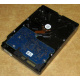 Электроника HDD 500Gb Hitachi HDS721050DLE630 (Миасс)