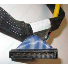 Кабель SCSI HP 166298-037 для HP ML370 G4 (Миасс)