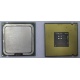Процессор Intel Celeron D 336 (2.8GHz /256kb /533MHz) SL98W s.775 (Миасс)