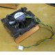 Intel C24751-002 (Миасс)