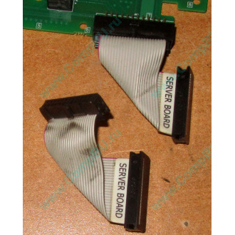 6017B0045701 Шлейф 24 pin для Intel C74974-401 T0043401-B01 корпуса SR2400 (Миасс)