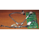 Корзина 59P5159 24P2578 IBM X225 / X226 / X235 / X255 / X266 xSeries servers FRU59P5159 FRU24P2578 (Миасс)