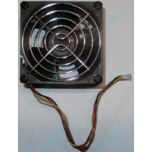 Вентилятор EFB0812HHE IBM 59P23B1 FRU 59P2572 (Миасс)
