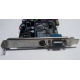 NV18-3710D 64Mb nVidia GeForce4 MX440 AGP 8x (Миасс)