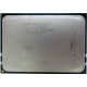 AMD Opteron 6128 OS6128WKT8EGO (Миасс)