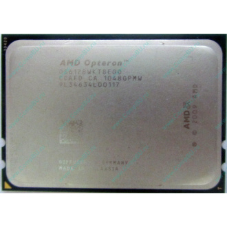 AMD Opteron 6128 OS6128WKT8EGO (Миасс)