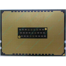 AMD Opteron 6128 OS6128WKT8EGO (Миасс)