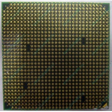 Процессор AMD Athlon 64300+ (1.8GHz) ADA3000IAA4CN s.AM2 (Миасс)