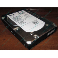 Жесткий диск 300Gb 15k Dell 9CH066-050 ST3300656SS Cheetah 15K.6 6G SAS (Миасс)