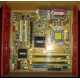 Материнская плата Asus P5L-VM 1394 s.775 (Миасс)